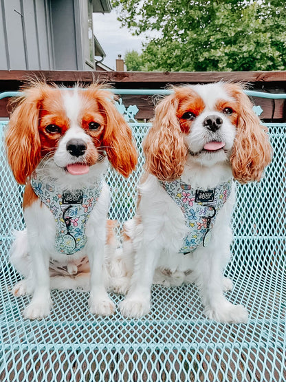 Dog Four Piece Bundle - Pup Pup Hooray