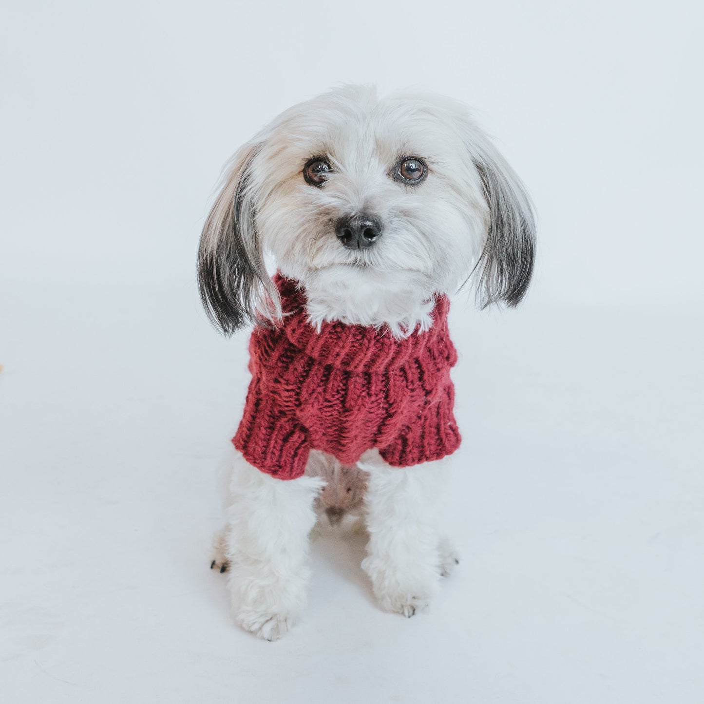 Pet Cable Knit Sweater - Red