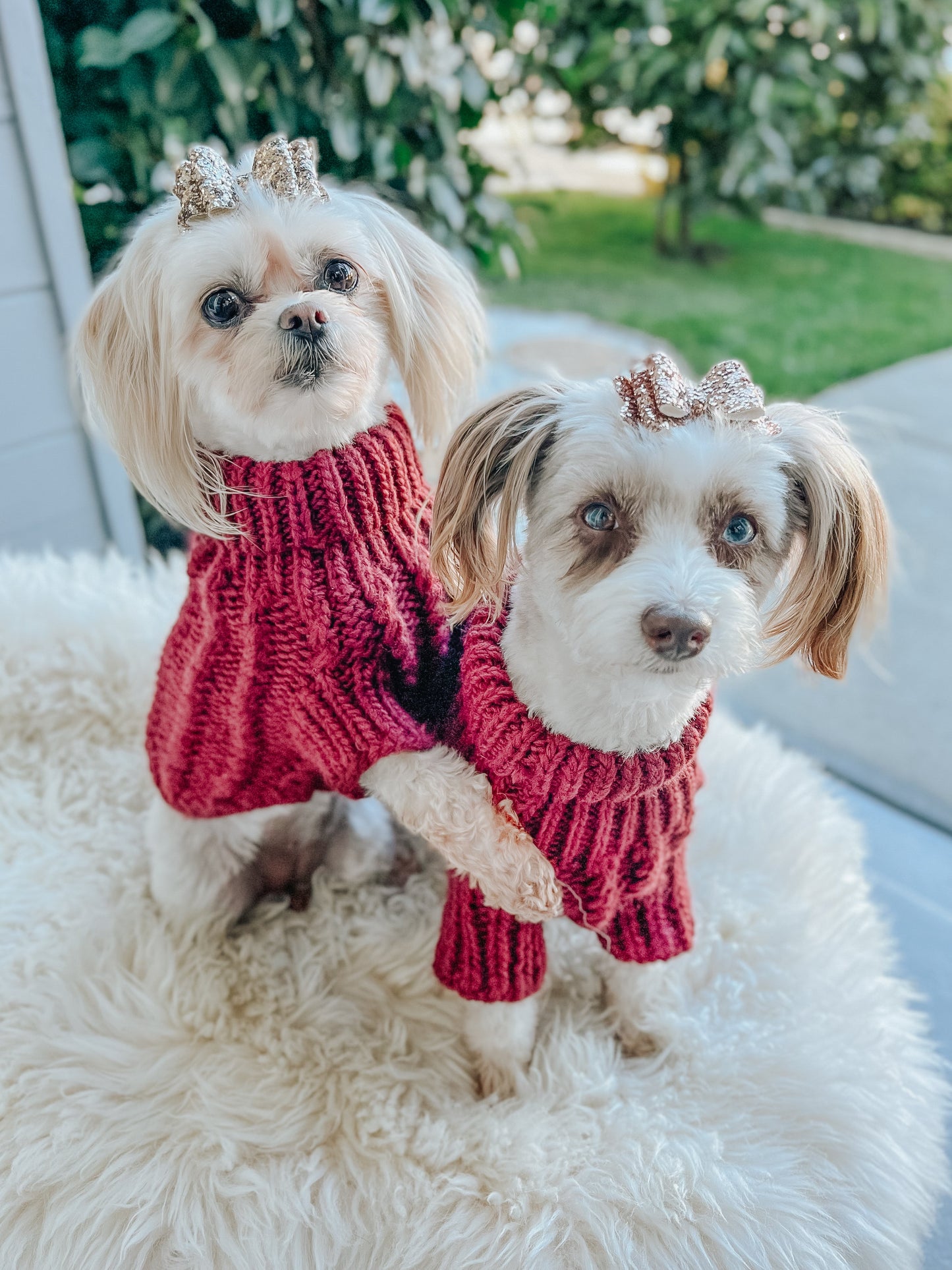 Pet Cable Knit Sweater - Red