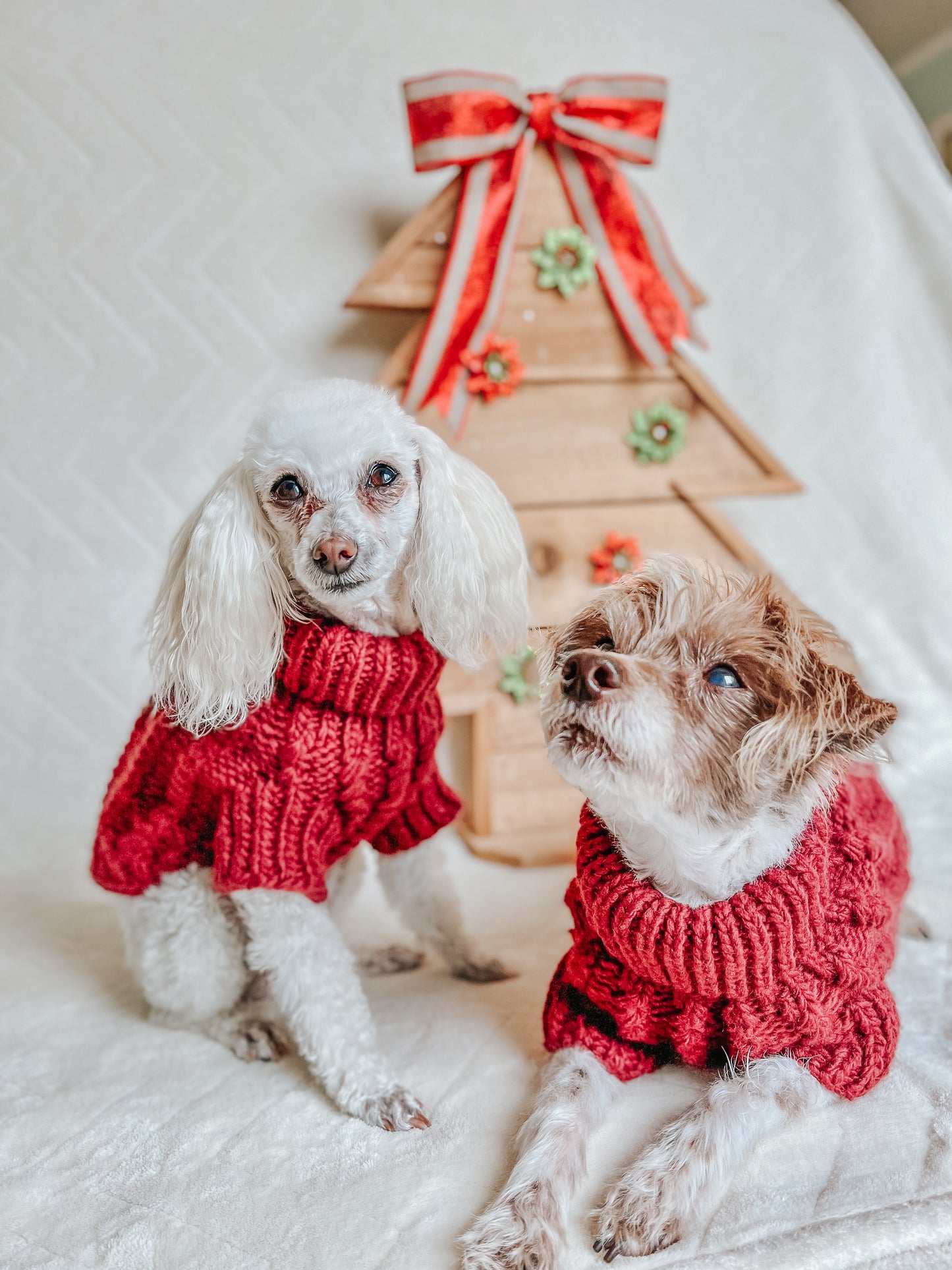 Pet Cable Knit Sweater - Red