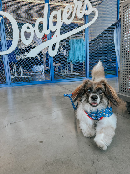Dog Adjustable Harness - MLB™ x Peanuts™ Los Angeles Dodgers™