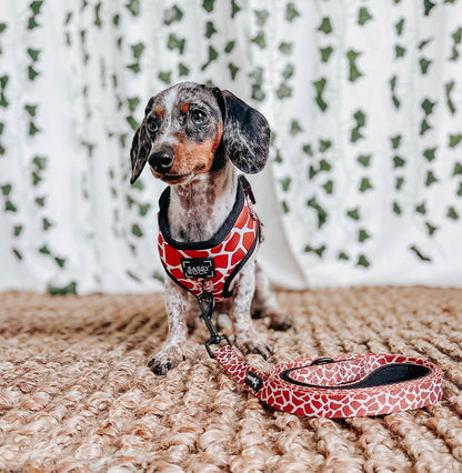 Dog Adjustable Harness - Giraffic Park