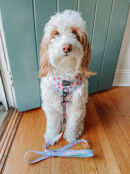 Dog Adjustable Harness - Sakura