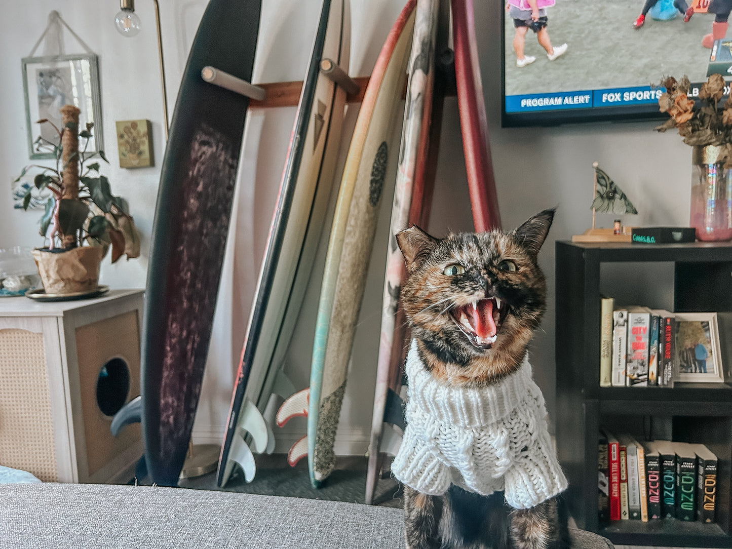 Pet Cable Knit Sweater - White