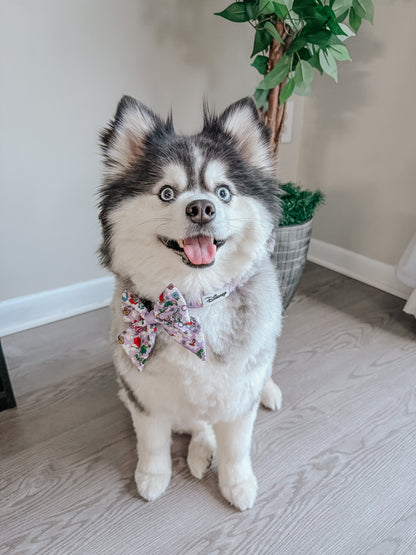 Dog Sailor Bow - Alice in Wonderland (Purple)