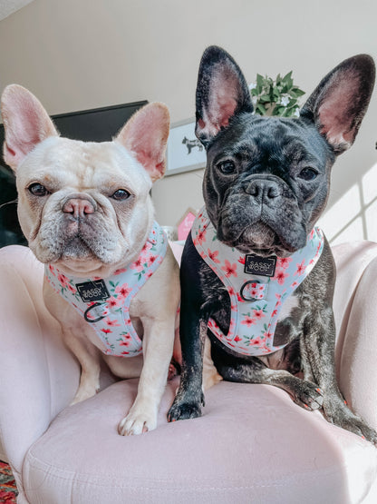 Dog Adjustable Harness - Sakura