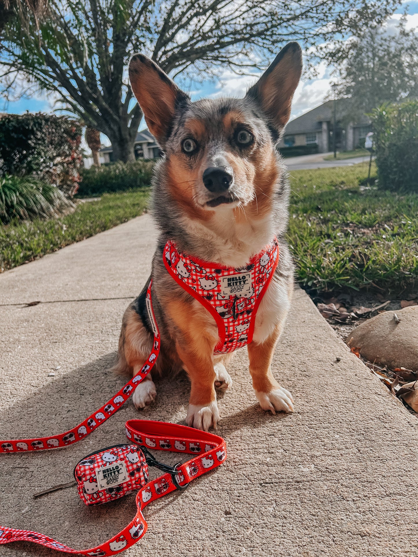 Dog Four Piece Bundle - Hello Kitty® Red Classic