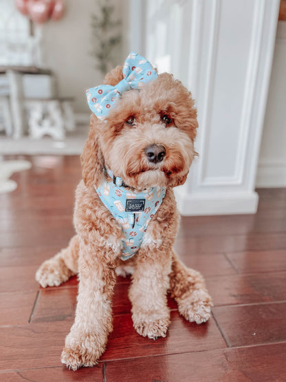 Dog Bowtie - Sweets & Pawfee