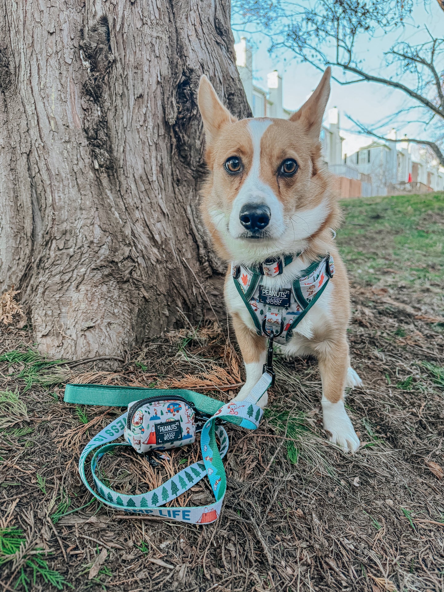 Dog Two Piece Bundle - Peanuts™ Beagle Scouts