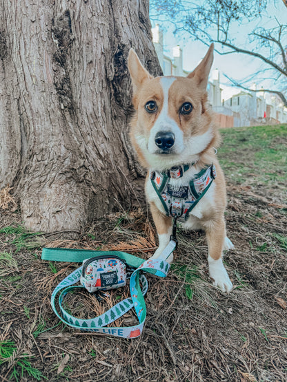 Dog Two Piece Bundle - Peanuts™ Beagle Scouts