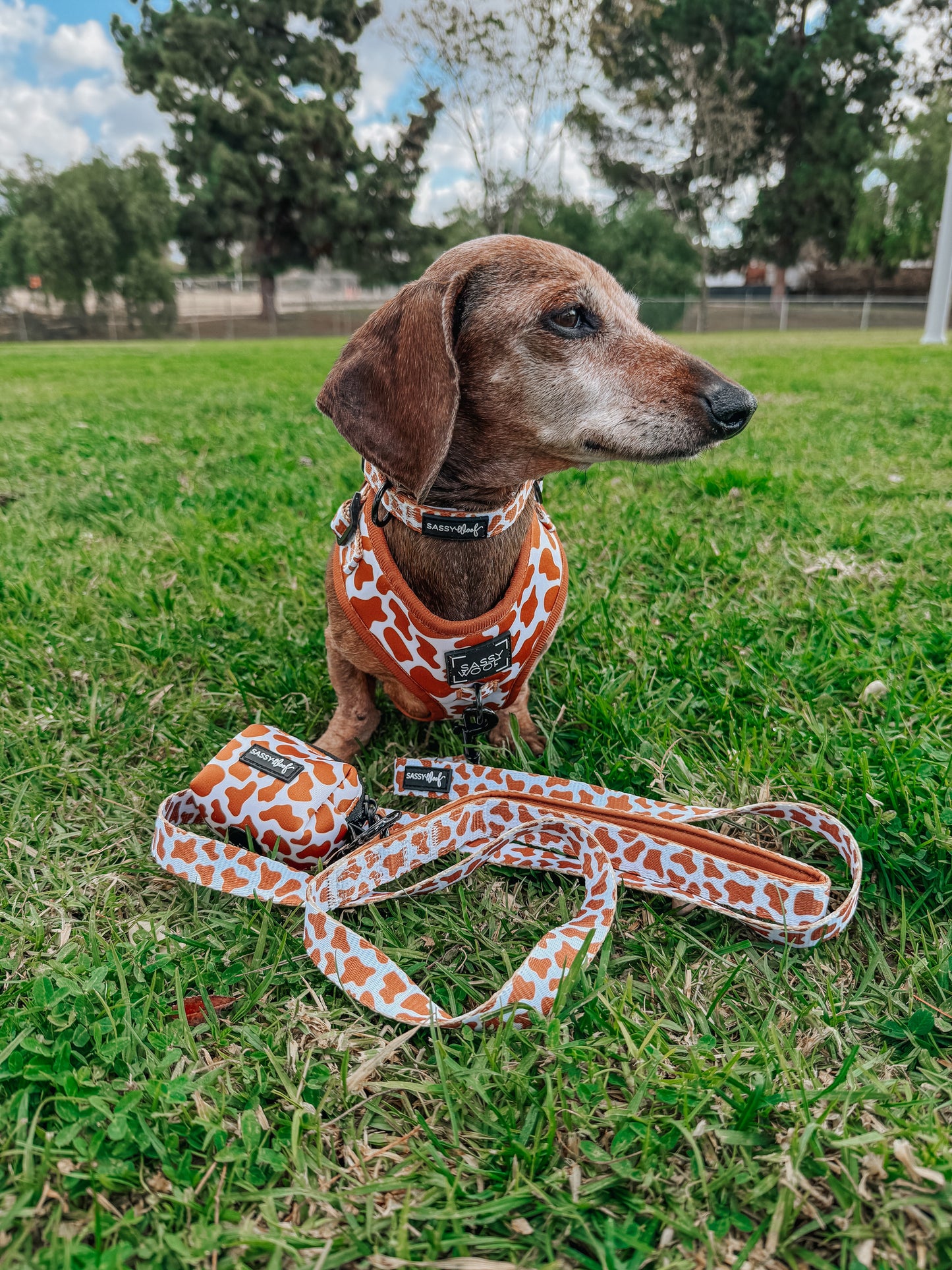 Dog Waste Bag Holder - Chocolate Milk