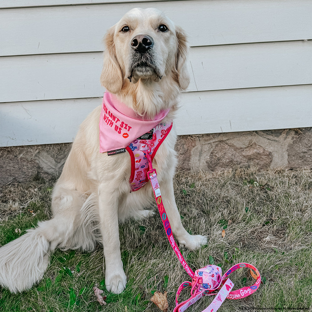 Dog Two Piece Bundle - Mean Girls™