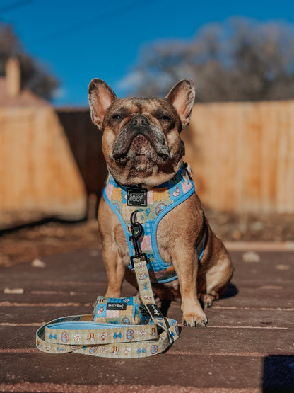 Dog Three Piece Bundle - Patch Perfect