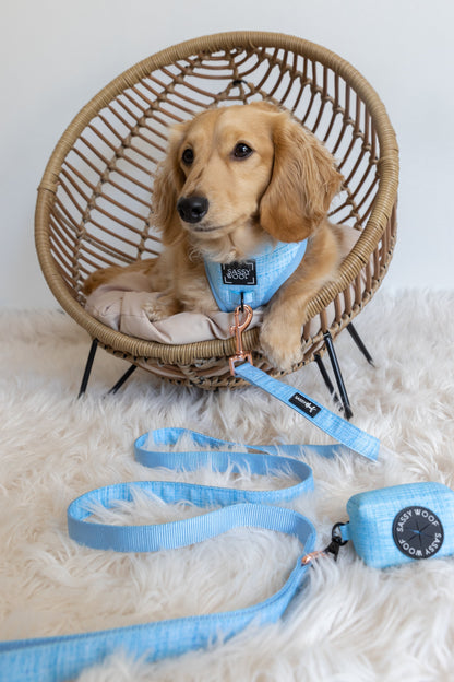 Dog Two Piece Bundle - Blumond
