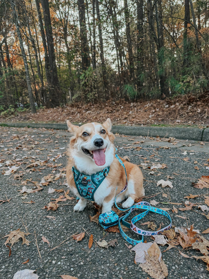 Dog Leash - Disney's Winnie the Pooh