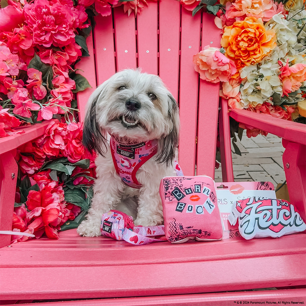Dog Two Piece Bundle - Mean Girls™
