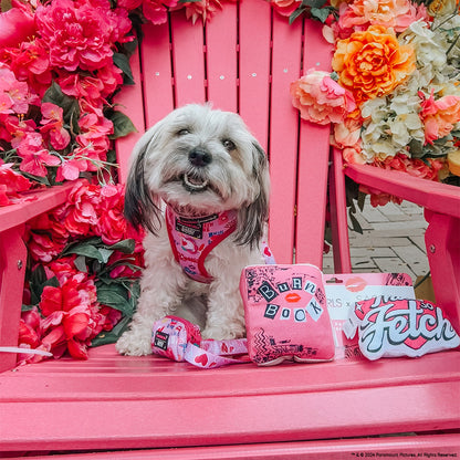 Dog Two Piece Bundle - Mean Girls™
