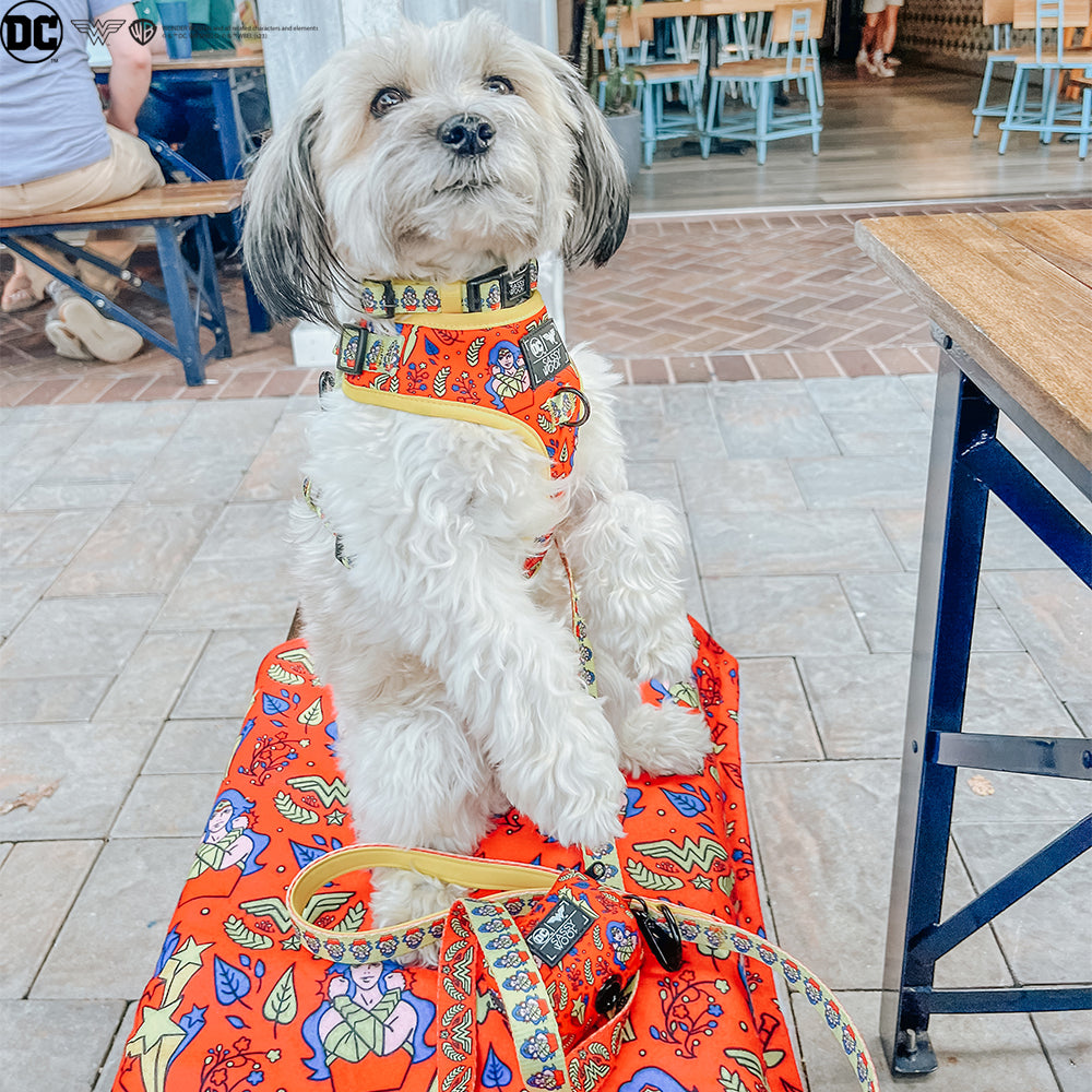 Pet Blanket - Wonder Woman™