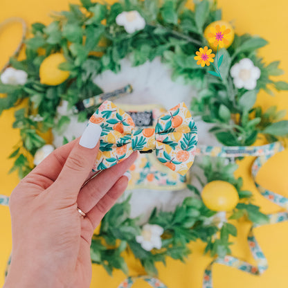 Cat Bowtie - Zest Friends